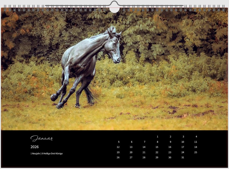 Pferdefotografie Fotoprodukte Ein graues Pferd galoppiert über eine grüne Wiese mit Bäumen im Hintergrund. Hochwertiger Fotokalender