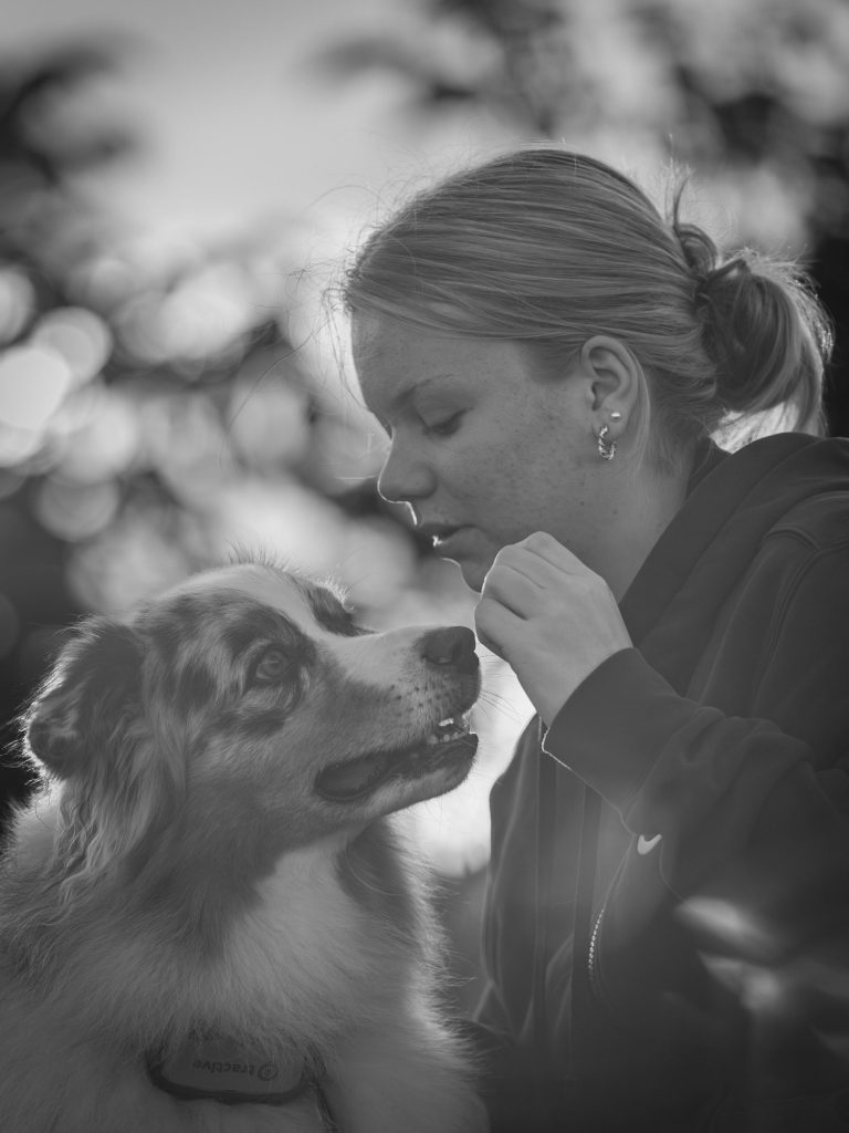 Hundefotografie Eine junge Frau beugt sich zu einem Hund und füttert ihn liebevoll. Beziehung - Liebe